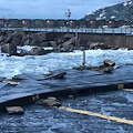 Brutto risveglio ad Amalfi, la mareggiata ha distrutto pavimentazione e balaustre /FOTO