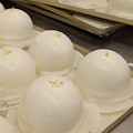 Il limone di Villa Paradiso è l’oro della Pasticceria Pansa, dal giardino al banco per un’emozione dolcissima /VIDEO