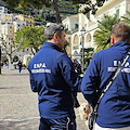 Il nuovo obiettivo di ENPA Costa d'Amalfi: svuotare i canili tramite le adozioni