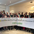 Nasce l’Associazione dei Paesaggi Rurali di Interesse Storico: Amalfi c'è