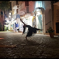 Stasera a Positano continua il viaggio interiore di Alice con Alessandra Sorrentino