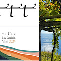 Tre vini Costa d'Amalfi DOC insigniti delle "Quattro Viti" dall'Associazione Italiana Sommelier