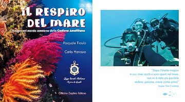 Allarme vermocane: del suo avvistamento in Costiera avevano parlato i subacquei Pasquale Fraulo e Carlo Mancuso 