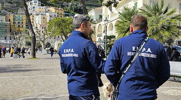 Il nuovo obiettivo di ENPA Costa d'Amalfi: svuotare i canili tramite le adozioni